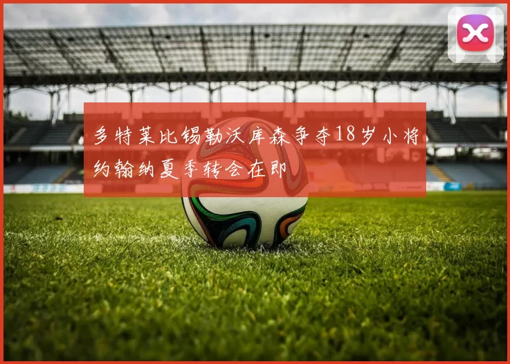 多特莱比锡勒沃库森争夺18岁小将约翰纳夏季转会在即
