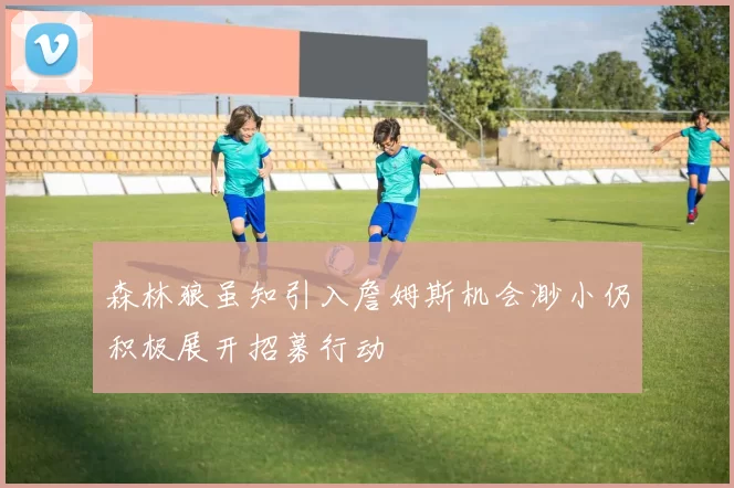 森林狼虽知引入詹姆斯机会渺小仍积极展开招募行动